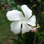 DSC00880