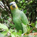 DSCN0410