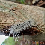 DSCN0687