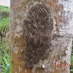 DSCN0688