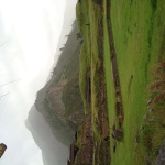 DSC03118